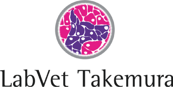 labvet takemura